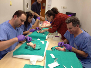 Physicians practicing ligament repair on pigs' feet