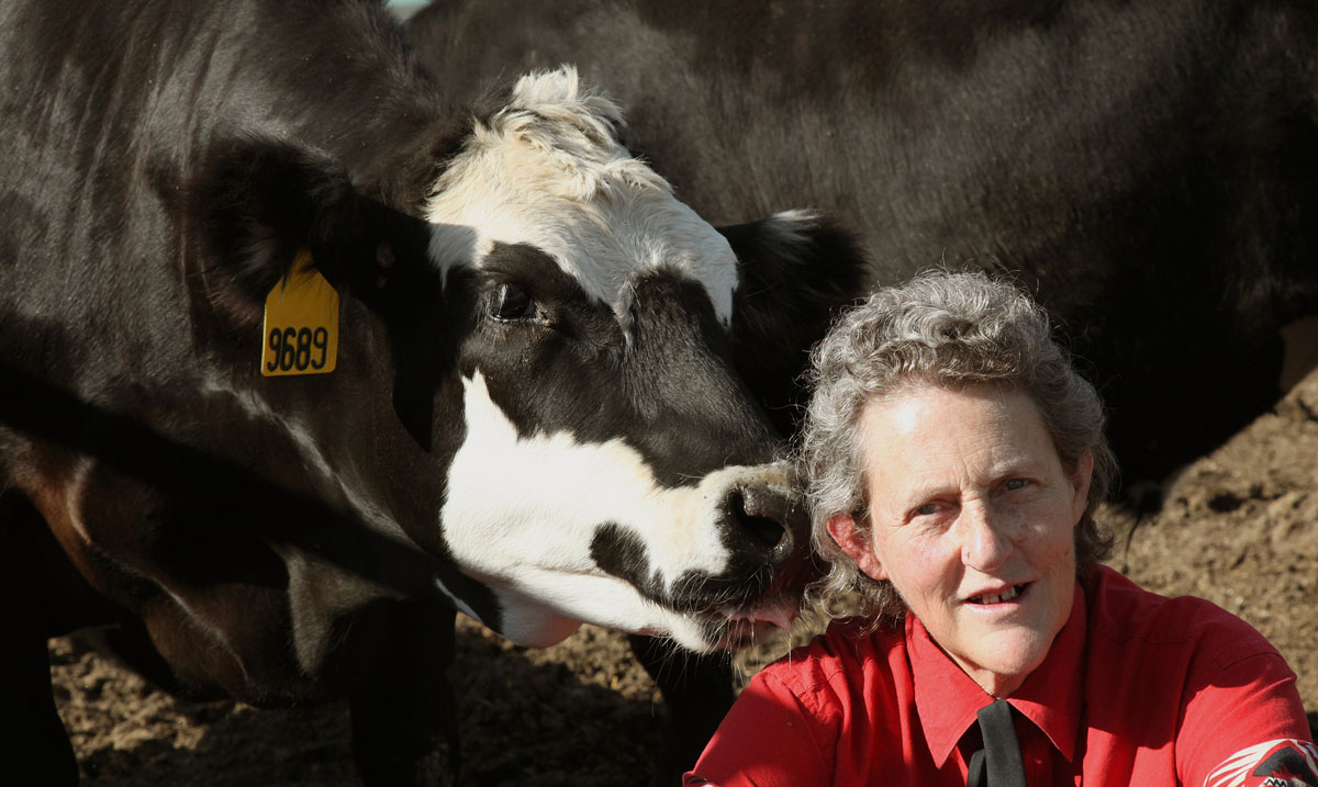 5 Questions: Temple Grandin discusses autism, animal communication | News  Center | Stanford Medicine