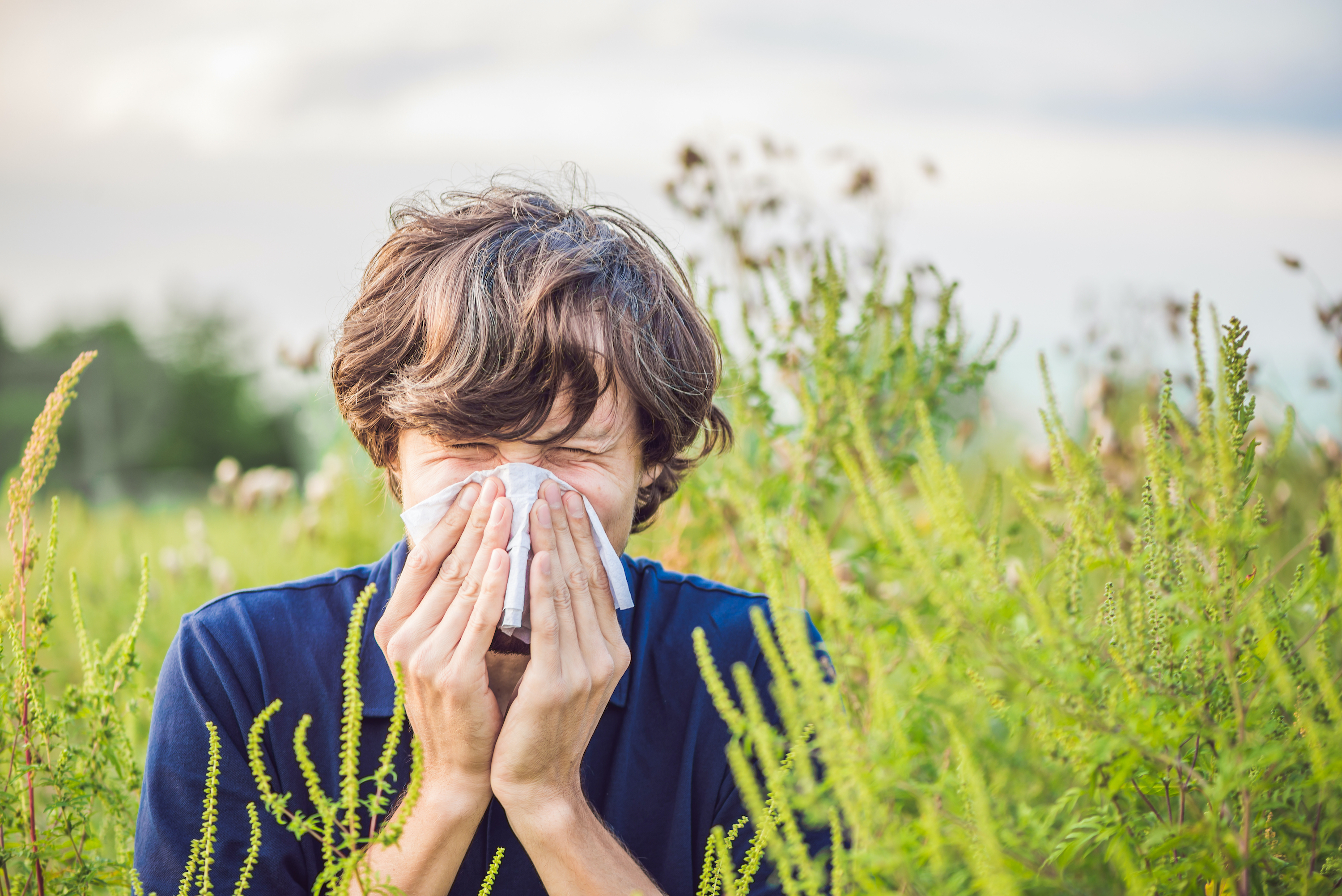 Climate change linked to longer allergy season in Bay Area, Stanford study finds - Stanford Medical Center Report