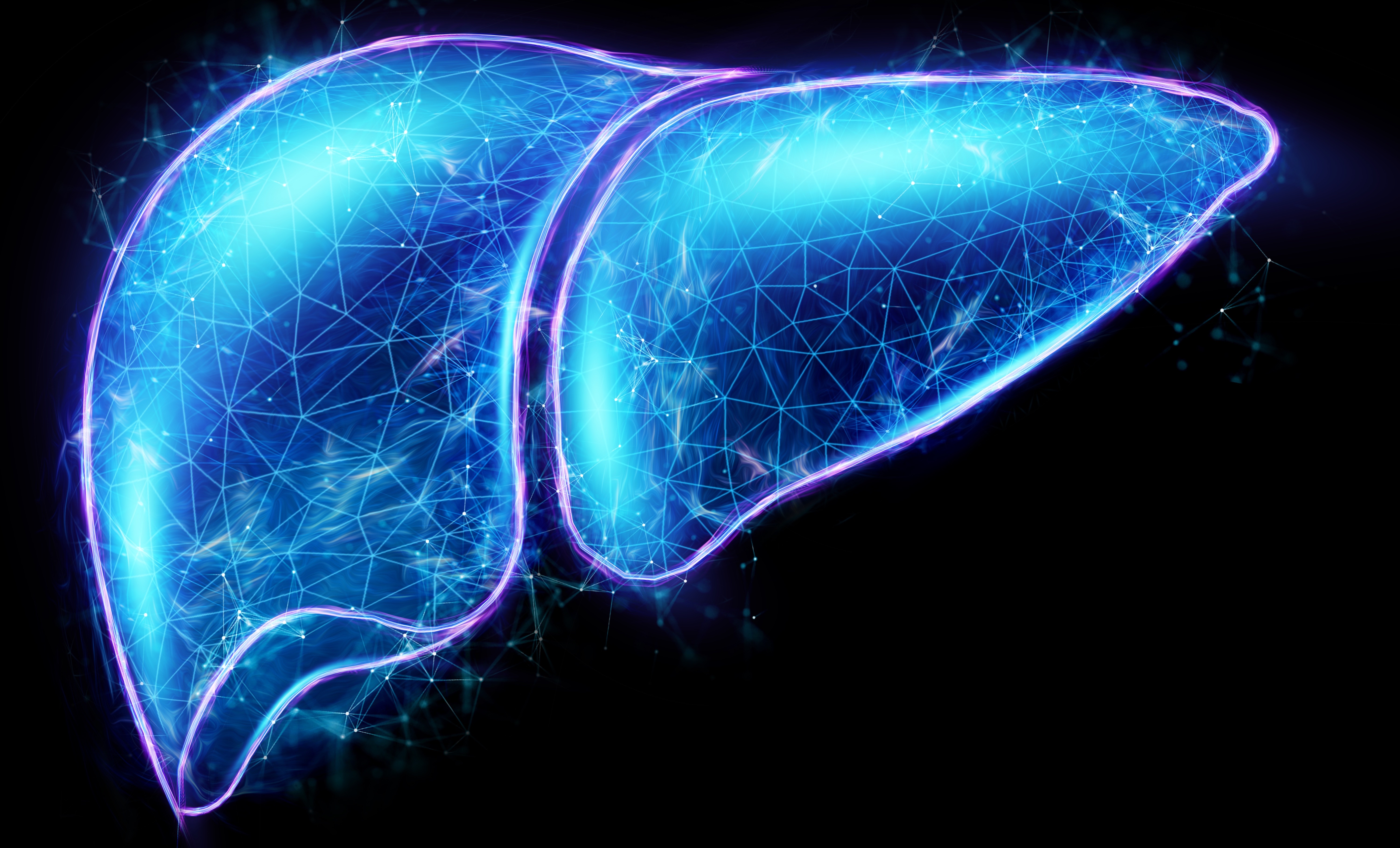 Intermittent fasting spurs proliferation of liver cells in lab mice,  Stanford Medicine-led study finds | News Center | Stanford Medicine