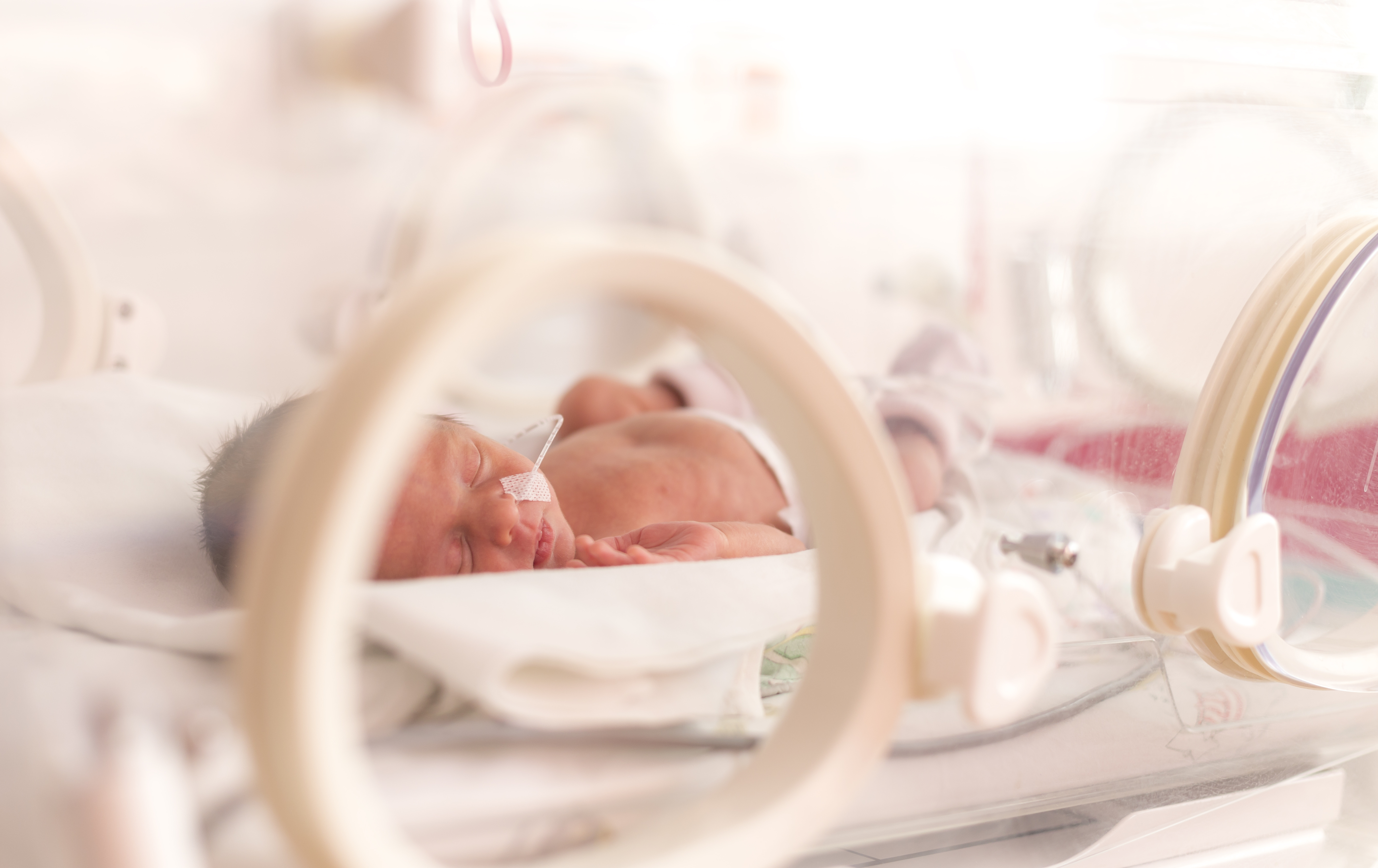 Maternal and baby medical data predict complications in premature babies, Stanford Medicine-led study shows | News Center