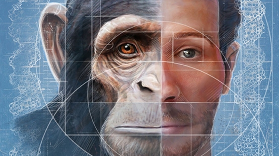 Scientists home in on origin of human, chimpanzee facial differences