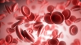 Withholding amino acid depletes blood stem cells