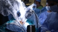 Robot-assisted surgery for kidney removal associated with longer operating times, higher cost