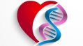 Genetics of cholesterol point to possible drug targets for heart disease, diabetes