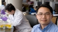 Study identifies link between DNA-protein binding, cancer onset