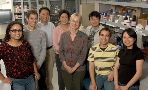  2008 Lab Staff