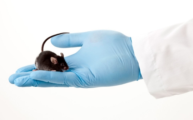 black-mouse-gloved-hand-CTA