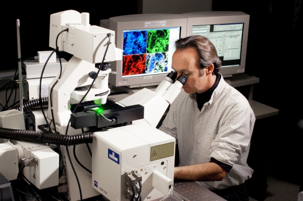 Researcher at a microscope