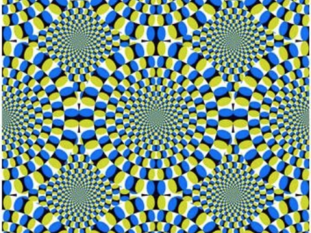 snake optical illusion