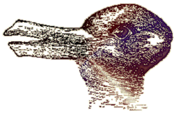 Duck/Rabbit Optical Illusion
