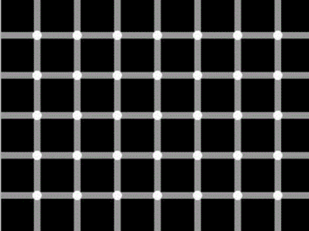 Herman Grid illusion
