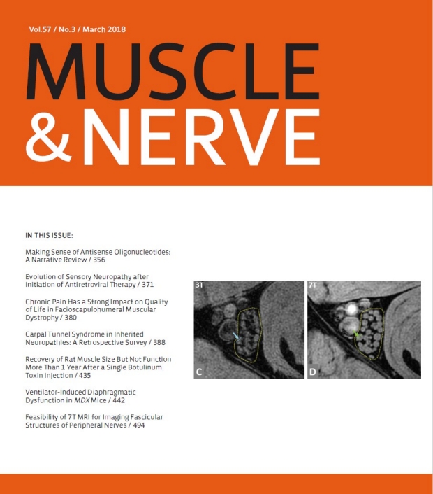 Muscle & Nerve Cover Image