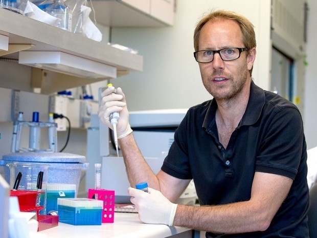New research from Tony Wyss-Coray and his collaborators shows that older mice performed better on memory tests when a protein found on the walls of blood vessels in the brain was blocked. Norbert von der Groeben