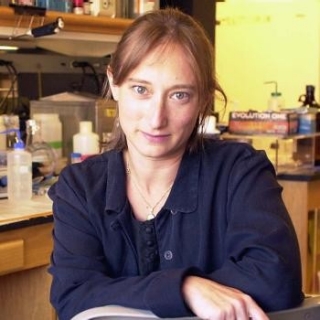  Judith Frydman, PhD 