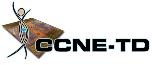 CCNE-TD logo