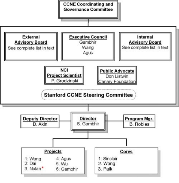 ccne_org_chart