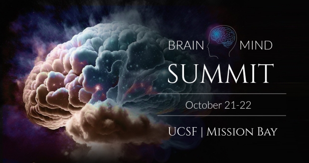 BrainMind Summit 2023: Interview with E.J. Chichilnisky