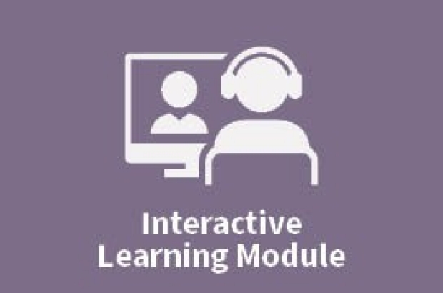 Interactive Learning Modules