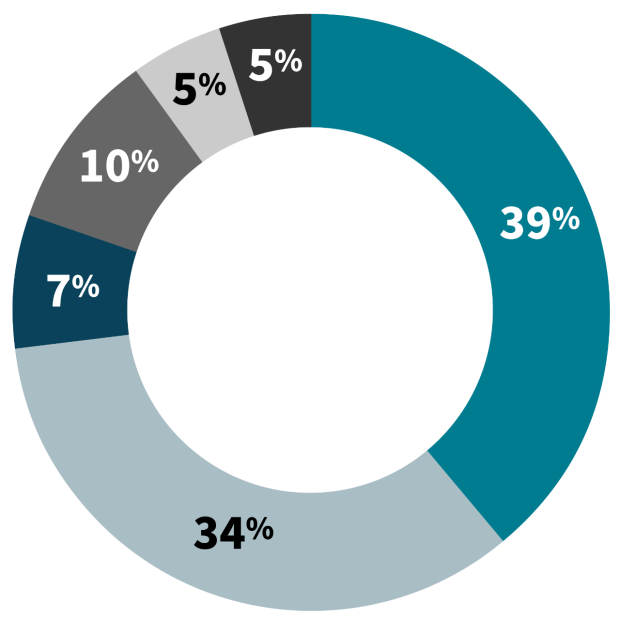 Pie chart showing percentages of students by race