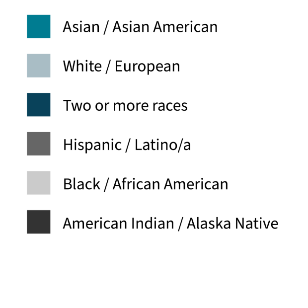 Color coded key for race breakdown by percentage