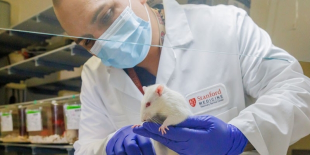 Researcher holding a rat