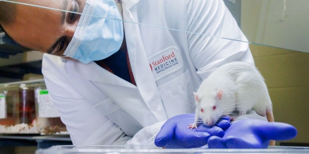 Researcher holding a rat