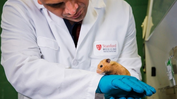 Researcher holding guinea pig