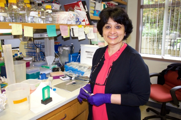 Deepa Waghray, Lab Manager, Garcia Lab, Stanford