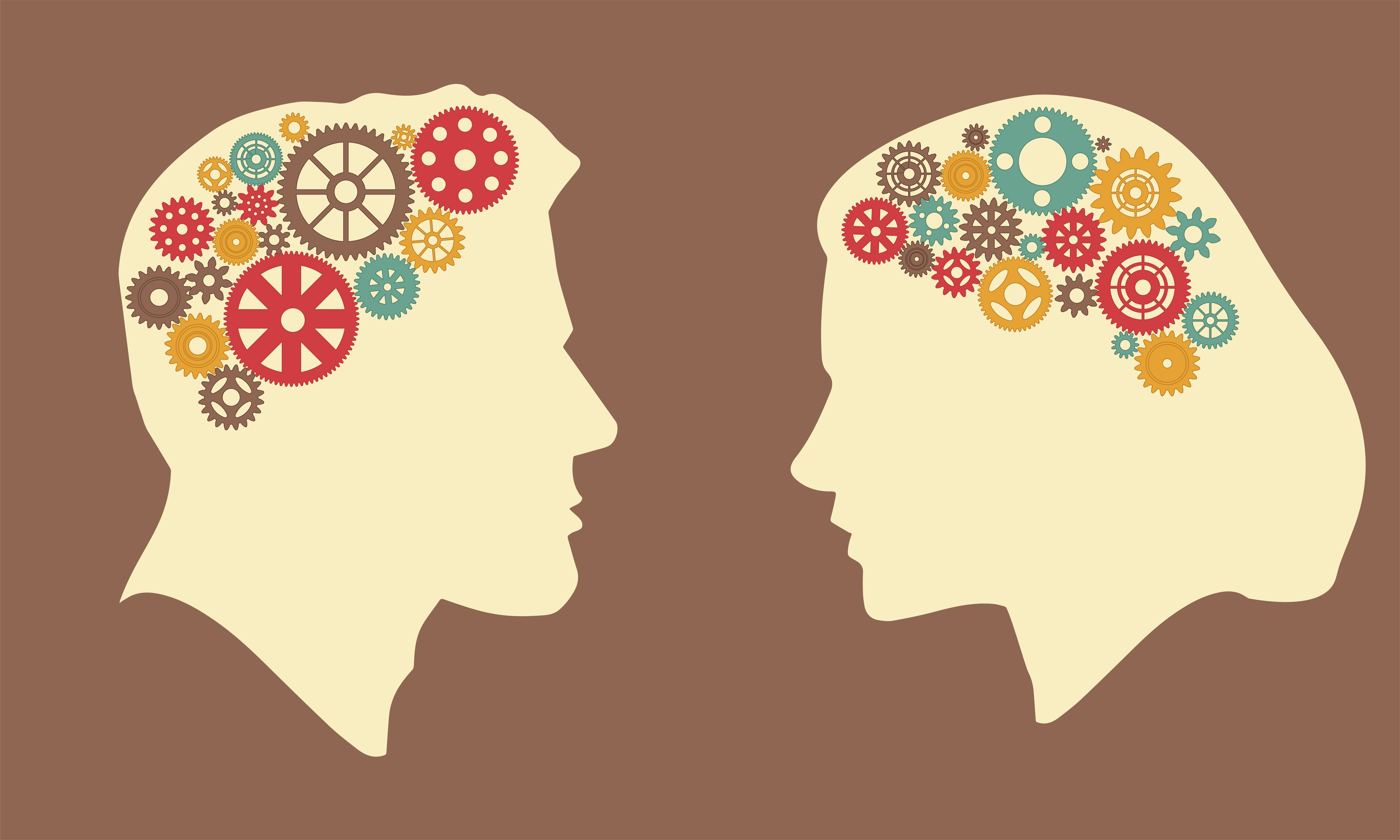 Stanford Medicine study identifies distinct brain organization patterns in  women and men, News Center