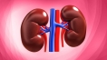 Study: Important to consider cause of kidney failure when planning future treatment