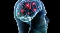 More GABA in one brain region linked to better working memory