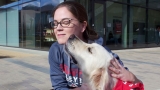 Therapy dogs take a bite out of student stress before exams