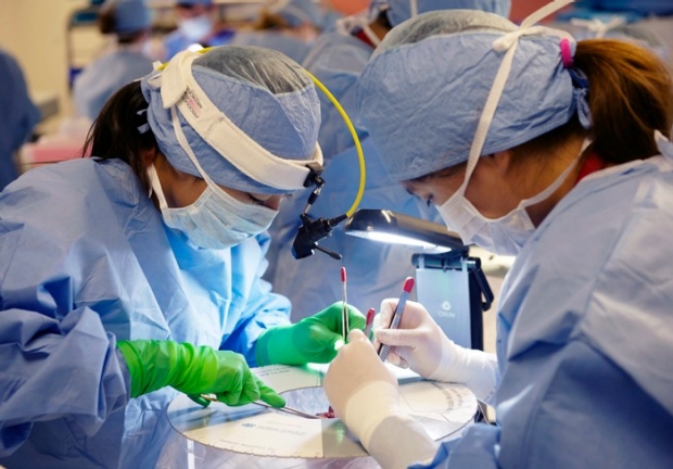students in surgery lab