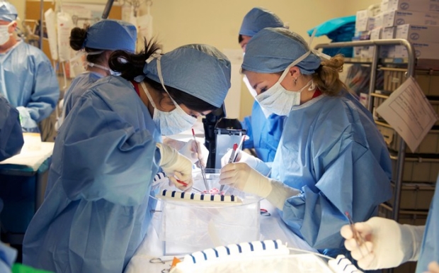 students in surgery lab