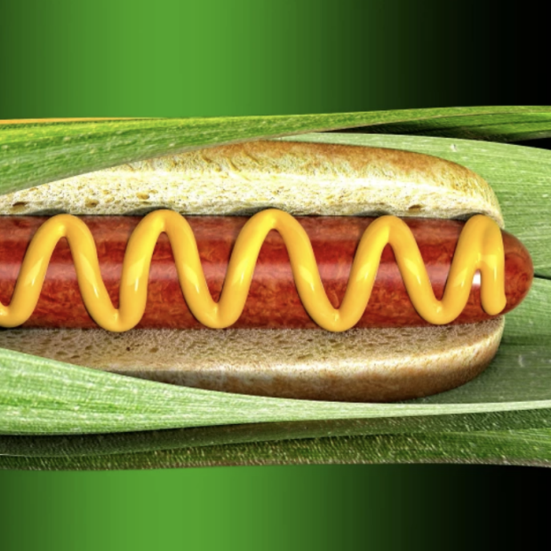 Image of hot dog in corn stalk from (Eddie Guy / For the Times)