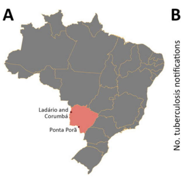 Brazil TB chart from Lancet publication