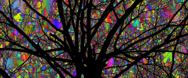 tree of lights