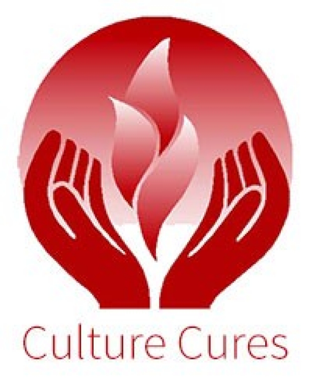 culture_cures_gme