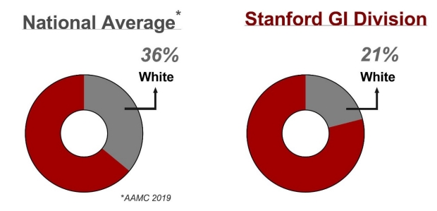Pie graph showing trainees race for national average is 36 percent white as opposed to 21 percent for Stanford