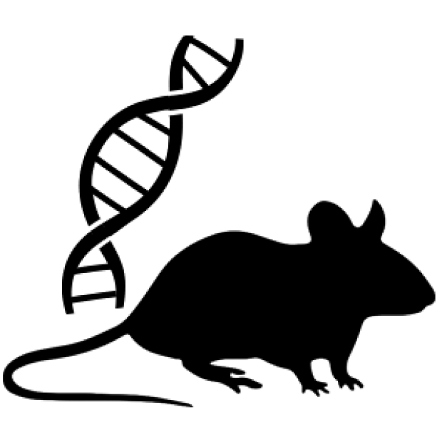 mouse genetics