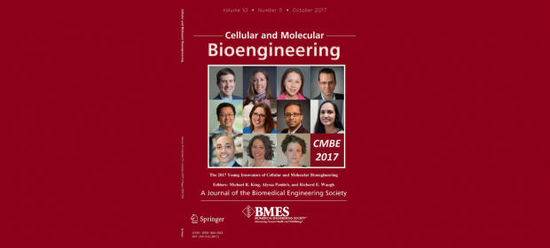 Cover of Cellular and Molecular Bioengineering featuring Ngan Huang