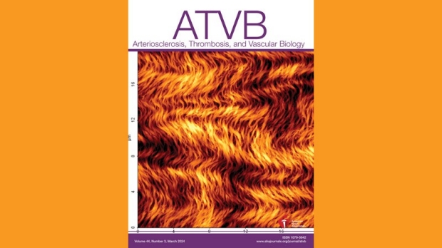ATVB journal cover