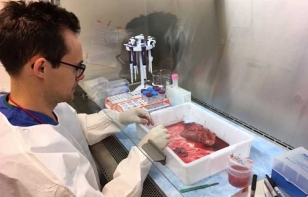 Nicholas Juul handling tissue sample