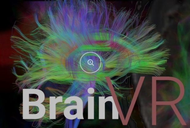 BrainVR: Virtual Exploration of the Human Brain