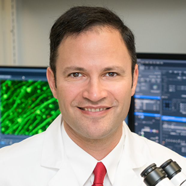 Jeffrey Goldberg, MD, PhD