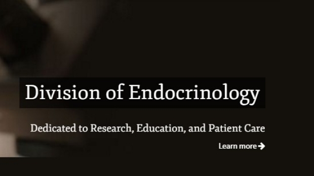 Division of Endocrinology
