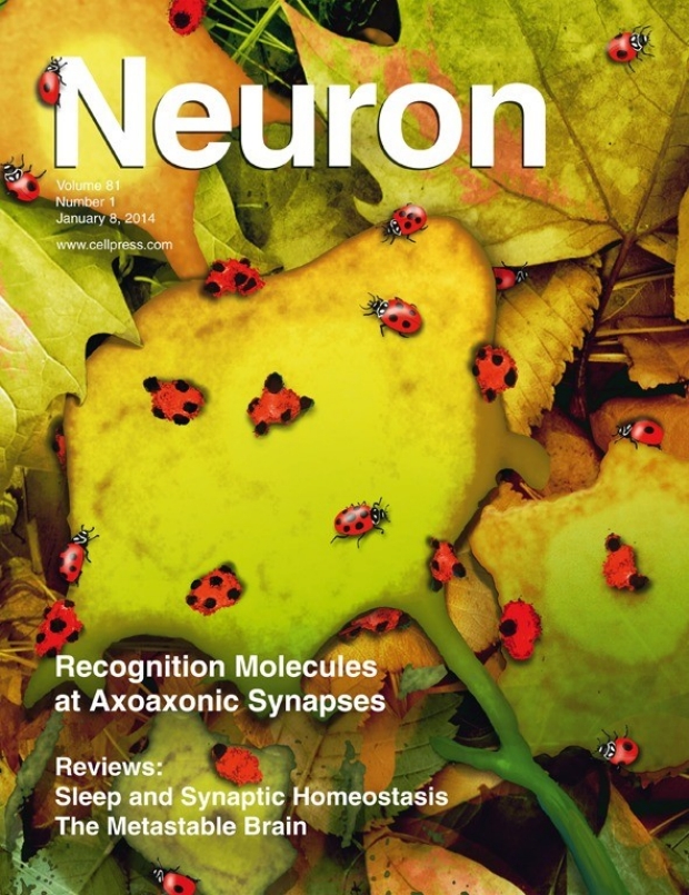 Neuron Cover