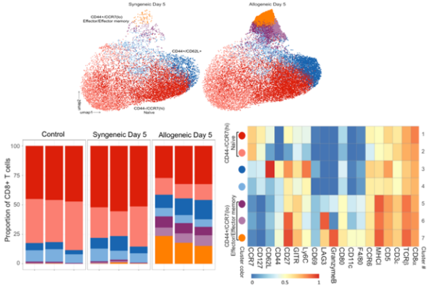 CyTOF identifies novel cell populations that define immune status