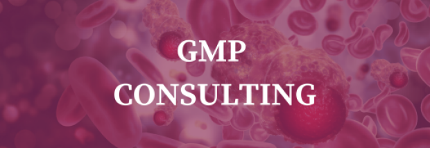GMP Consulting